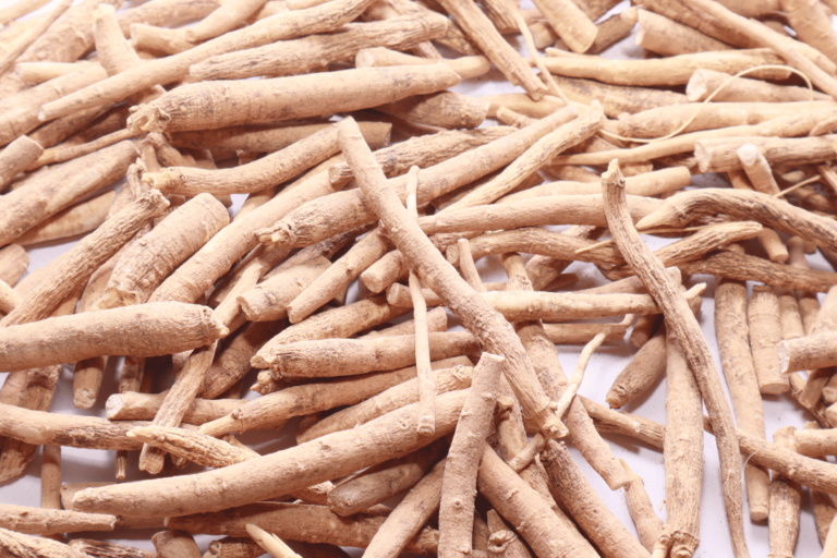 5 Low-Tox Products That Help Families Create a Healthier Home